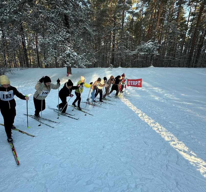 Изображение 12