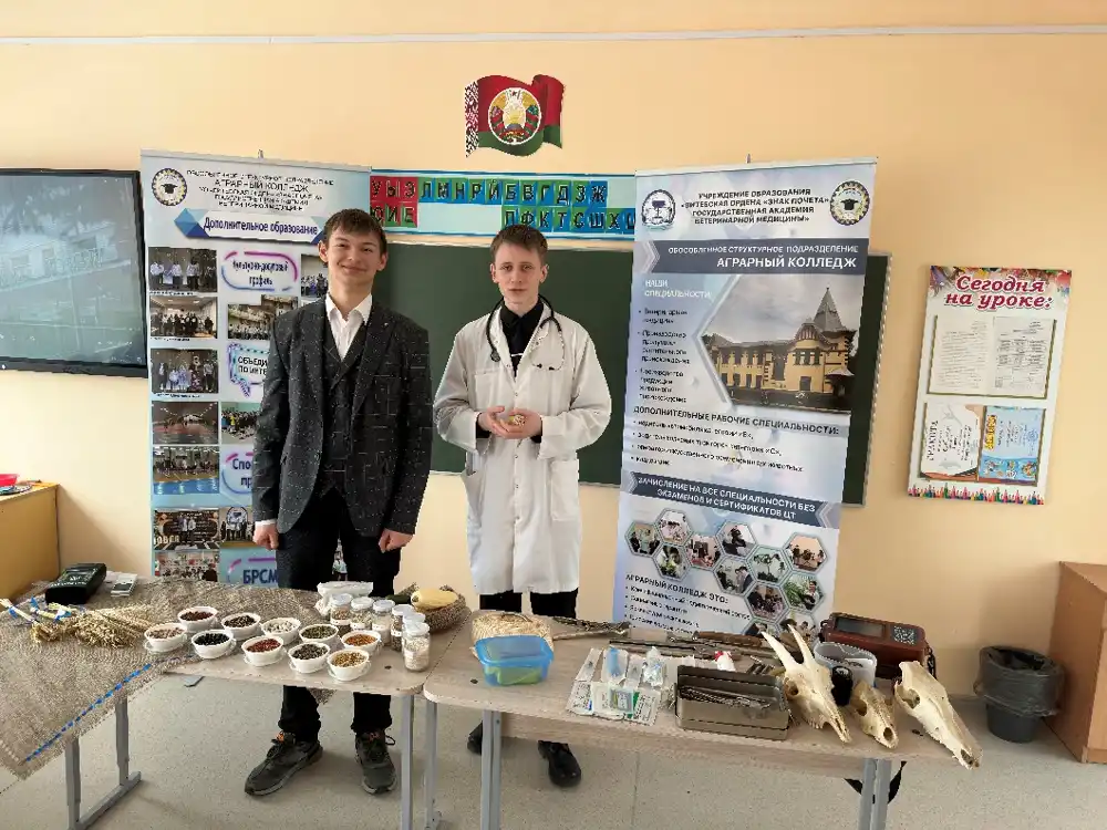 Изображение 05