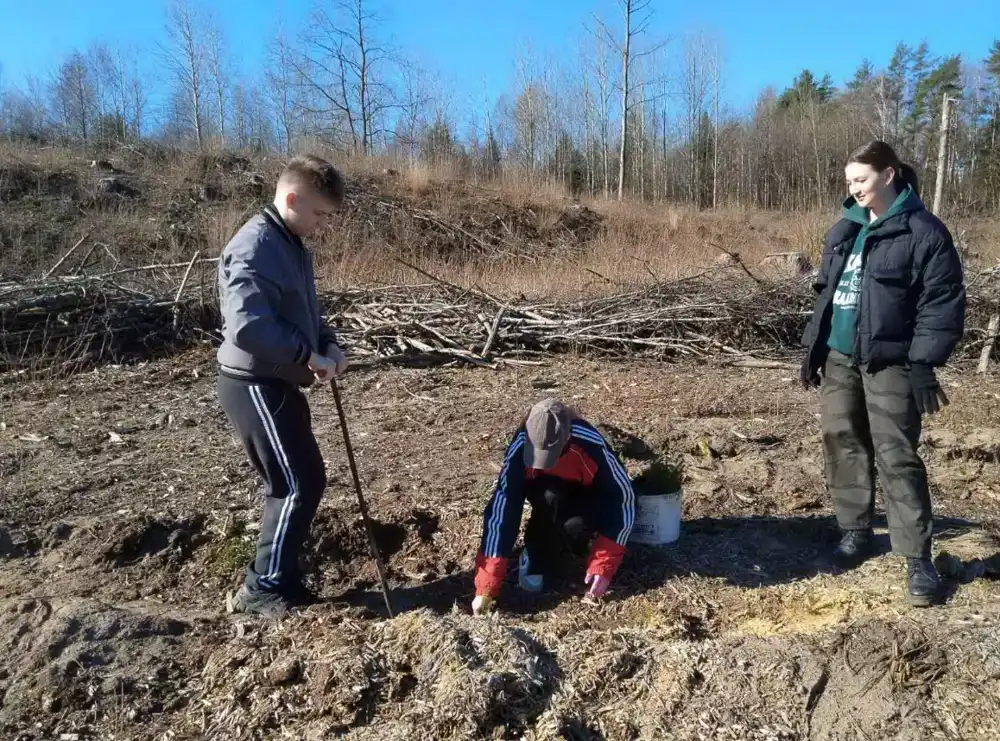 Изображение 02