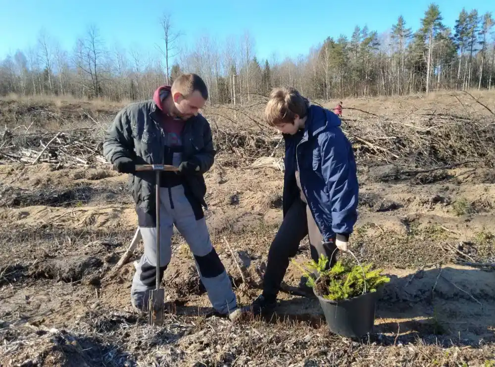 Изображение 03