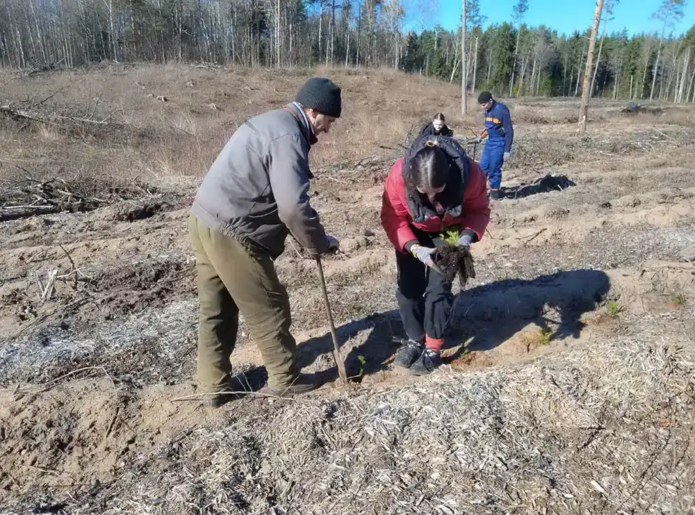 Изображение 04