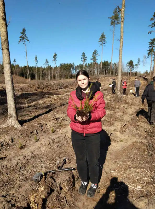 Изображение 05